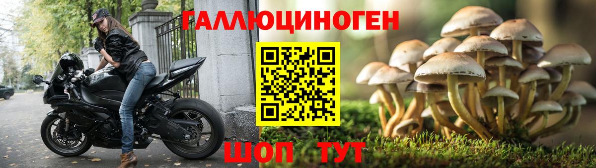 Псилоцибиновые грибы Psilocybe  Галлюциногенные грибы MAGIC MUSHROOMS  Шарыпово  Вход с VPN 